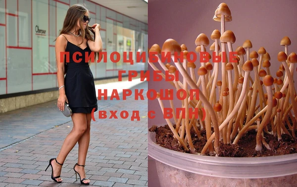 соль ск Рославль