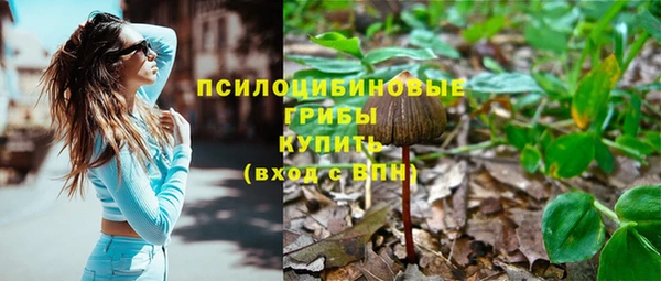 СК Воткинск