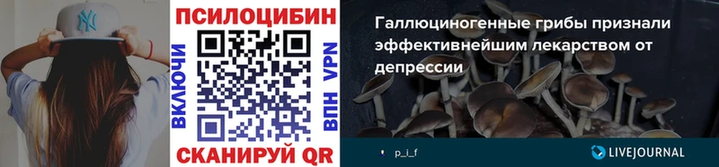 продажа наркотиков  MEGA вход  Галлюциногенные грибы Psilocybine cubensis  Менделеевск 