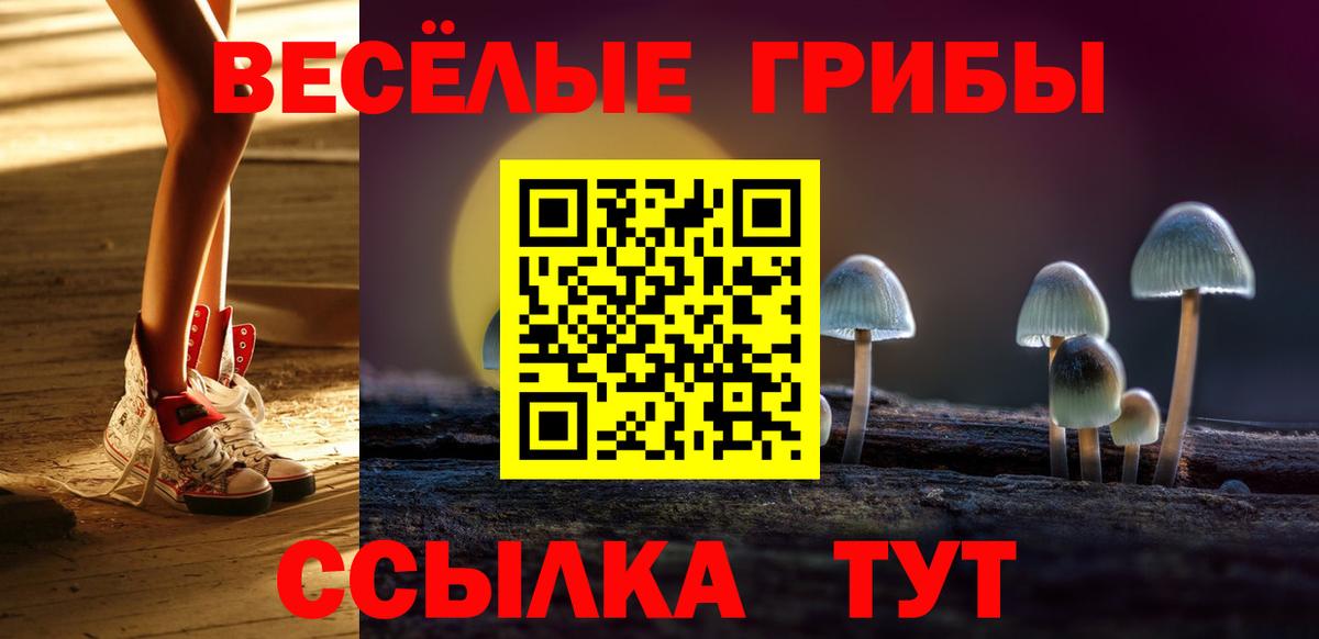 Менделеевск  Галлюциногенные грибы ЛСД  Вход с VPN 